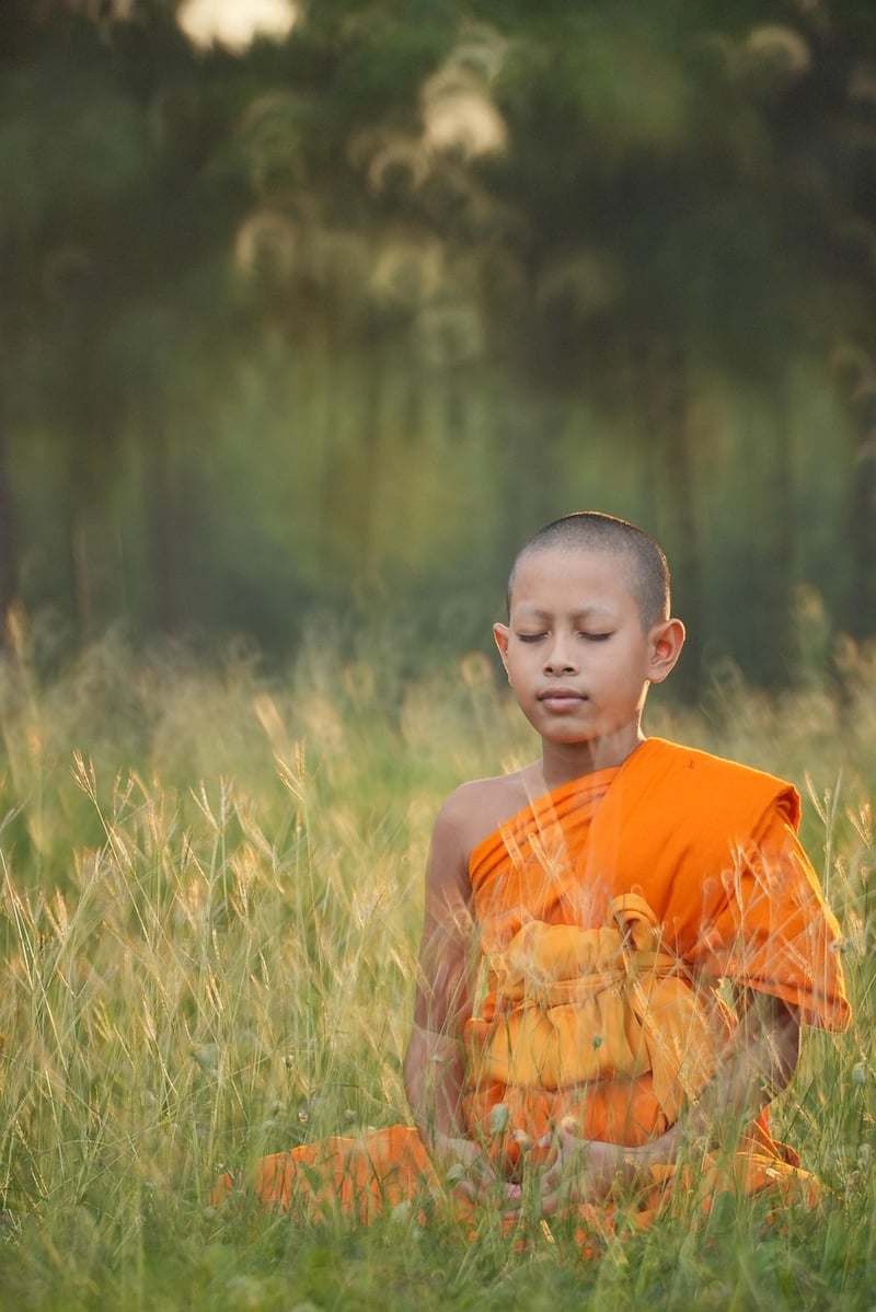 Meditation Escapes
