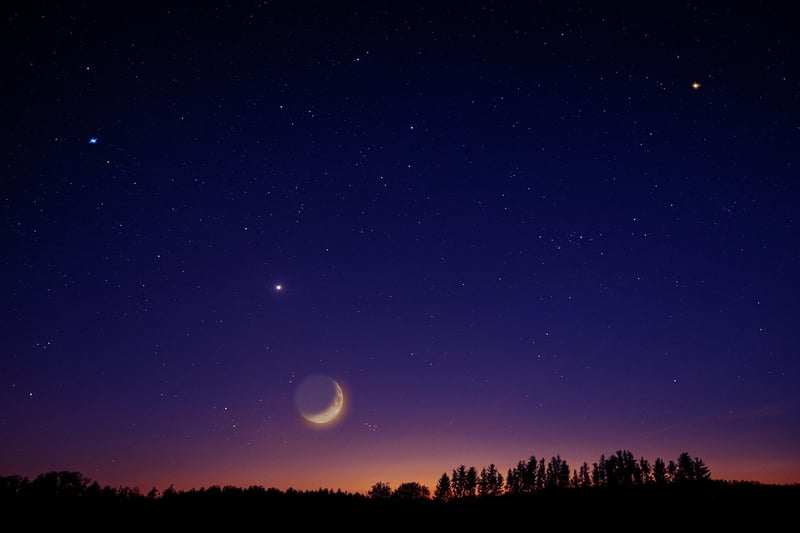Camping Under the Stars
